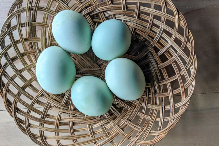 Manfaat dan Risiko Makan Telur Bebek untuk Ibu Hamil